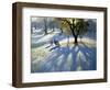 Markeaton Park, Early Snow-Andrew Macara-Framed Giclee Print