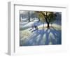 Markeaton Park, Early Snow-Andrew Macara-Framed Giclee Print