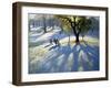 Markeaton Park, Early Snow-Andrew Macara-Framed Giclee Print