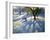 Markeaton Park, Early Snow-Andrew Macara-Framed Giclee Print