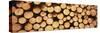 Marked Wood in a Timber Industry, Black Forest, Germany-null-Stretched Canvas