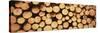 Marked Wood in a Timber Industry, Black Forest, Germany-null-Stretched Canvas