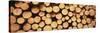 Marked Wood in a Timber Industry, Black Forest, Germany-null-Stretched Canvas