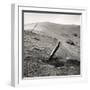 Markerstone, Old Harlech To London Road, Wales 1976-Fay Godwin-Framed Giclee Print