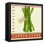 Market Asparagus-Lola Bryant-Framed Stretched Canvas