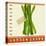 Market Asparagus-Lola Bryant-Stretched Canvas