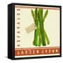 Market Asparagus-Lola Bryant-Framed Stretched Canvas