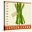 Market Asparagus-Lola Bryant-Stretched Canvas