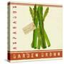 Market Asparagus-Lola Bryant-Stretched Canvas