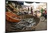 Market, Battambang, Battambang Province, Cambodia, Indochina, Southeast Asia, Asia-Ben Pipe-Mounted Photographic Print