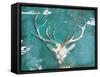 Market Deer Head-OnRei-Framed Stretched Canvas