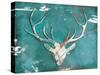 Market Deer Head-OnRei-Stretched Canvas