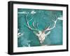 Market Deer Head-OnRei-Framed Art Print