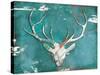 Market Deer Head-OnRei-Stretched Canvas