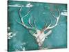 Market Deer Head-OnRei-Stretched Canvas