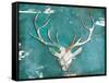 Market Deer Head-OnRei-Framed Stretched Canvas