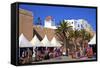 Market, Essaouira, Morocco, North Africa, Africa-Neil Farrin-Framed Stretched Canvas