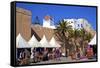 Market, Essaouira, Morocco, North Africa, Africa-Neil Farrin-Framed Stretched Canvas