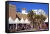 Market, Essaouira, Morocco, North Africa, Africa-Neil Farrin-Framed Stretched Canvas