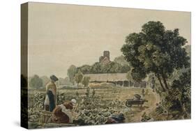 Market Garden at Chelsea-George The Younger Barret-Stretched Canvas