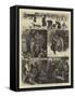 Market Gardening, a Winter's Journey to Covent Garden-William Bazett Murray-Framed Stretched Canvas