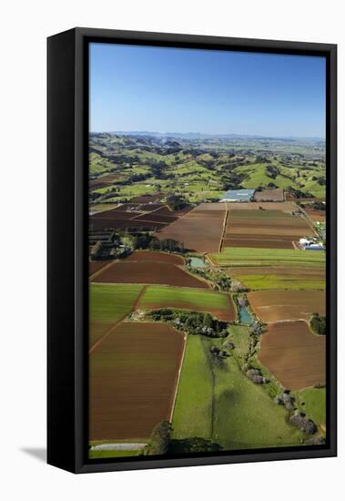 Market Gardens Near Pukekohe, South Auckland, North Island, New Zealand-David Wall-Framed Stretched Canvas