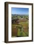 Market Gardens Near Pukekohe, South Auckland, North Island, New Zealand-David Wall-Framed Photographic Print