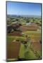 Market Gardens Near Pukekohe, South Auckland, North Island, New Zealand-David Wall-Mounted Photographic Print