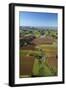 Market Gardens Near Pukekohe, South Auckland, North Island, New Zealand-David Wall-Framed Photographic Print