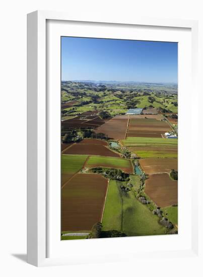 Market Gardens Near Pukekohe, South Auckland, North Island, New Zealand-David Wall-Framed Photographic Print