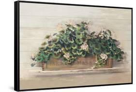 Market Geraniums Farmers Market Crop-Carol Rowan-Framed Stretched Canvas