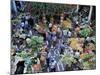 Market Hall, Funchal, Madeira, Portugal-Hans Peter Merten-Mounted Photographic Print