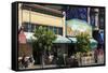 Market in Haight-Ashbury District-Richard Cummins-Framed Stretched Canvas