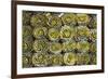 Market in Santiago, These Artichokes Were Displayed Artfully in Rows-Mallorie Ostrowitz-Framed Photographic Print