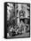 Market in Slums of Naples-Alfred Eisenstaedt-Framed Stretched Canvas