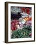 Market, Mexico-Alexander Nesbitt-Framed Photographic Print