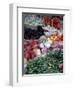 Market, Mexico-Alexander Nesbitt-Framed Photographic Print