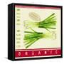 Market Scallions-Lola Bryant-Framed Stretched Canvas