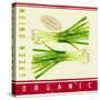 Market Scallions-Lola Bryant-Stretched Canvas