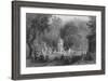Market Scene and Fountain, Antioch-William Henry Bartlett-Framed Giclee Print