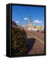 Market Square and City Hall, Old Town, UNESCO World Heritage Site, Zamosc, Lublin Voivodeship, Pola-Karol Kozlowski-Framed Stretched Canvas