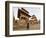 Market Stalls Set out Amongst the Temples, Durbar Square, Patan, Kathmandu Valley, Nepal-Don Smith-Framed Photographic Print