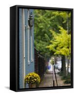 Market Street Historic Houses, Lexington, Kentucky-Walter Bibikow-Framed Stretched Canvas