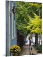 Market Street Historic Houses, Lexington, Kentucky-Walter Bibikow-Mounted Photographic Print