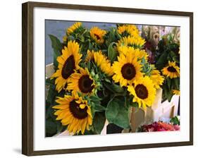 Market Sunflowers, Nice, France-Charles Sleicher-Framed Photographic Print