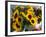 Market Sunflowers, Nice, France-Charles Sleicher-Framed Photographic Print