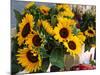 Market Sunflowers, Nice, France-Charles Sleicher-Mounted Photographic Print