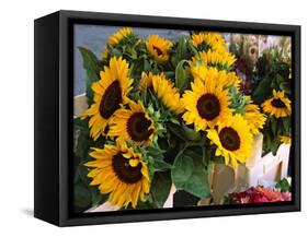 Market Sunflowers, Nice, France-Charles Sleicher-Framed Stretched Canvas