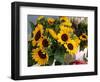 Market Sunflowers, Nice, France-Charles Sleicher-Framed Photographic Print