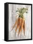 Market Vegetables I on Wood-Silvia Vassileva-Framed Stretched Canvas